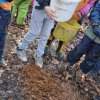 02 Aktion Februar 25 Tiere im Winterwald